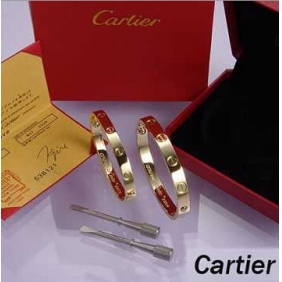 Replica Fake Cartier Leve Lovers Bangles Yellow Gold (Double) For Sale